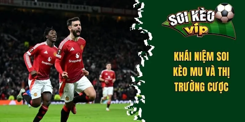 Soi Kèo Mu - Tìm Hiểu Về Các Thị Trường Và Mẹo Cược Chuẩn 1 Khái niệm soi kèo MU và thị trường cược