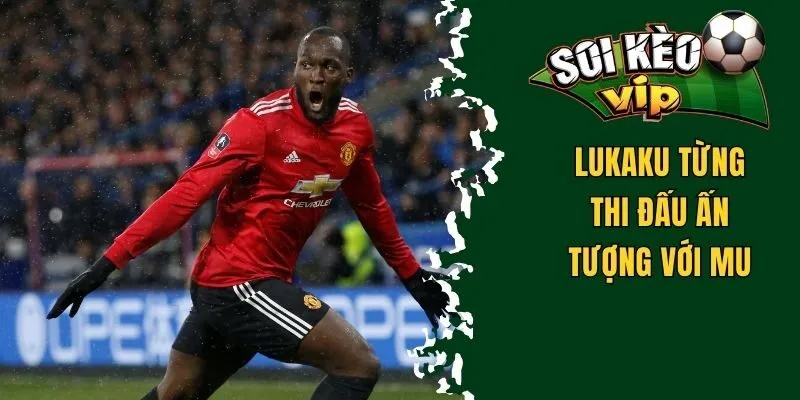 Tiểu Sử Lukaku - Hành Trình Của Một Tiền Đạo Xuất Sắc 3 Lukaku từng thi đấu ấn tượng với MU