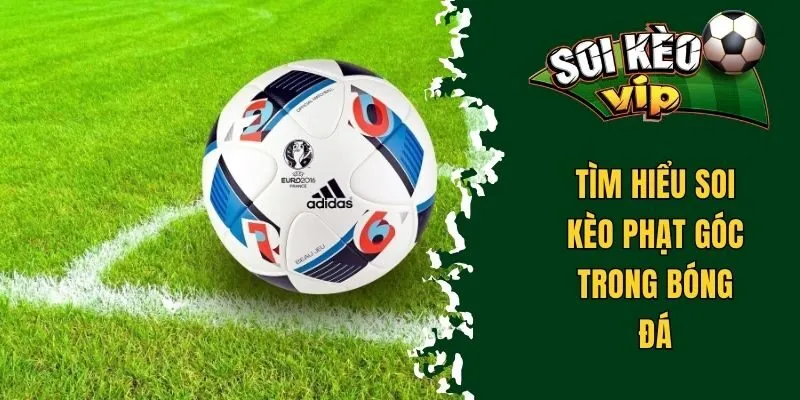 Nắm Rõ Soi Kèo Phạt Góc Và Bí Quyết Soi Kèo Hiệu Quả 1 Tìm hiểu soi kèo phạt góc trong bóng đá