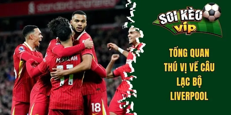 Liverpool Vô Địch C1 Bao Nhiêu Lần - Khám Phá Từ A Đến Z 1 Tổng quan thú vị về câu lạc bộ Liverpool
